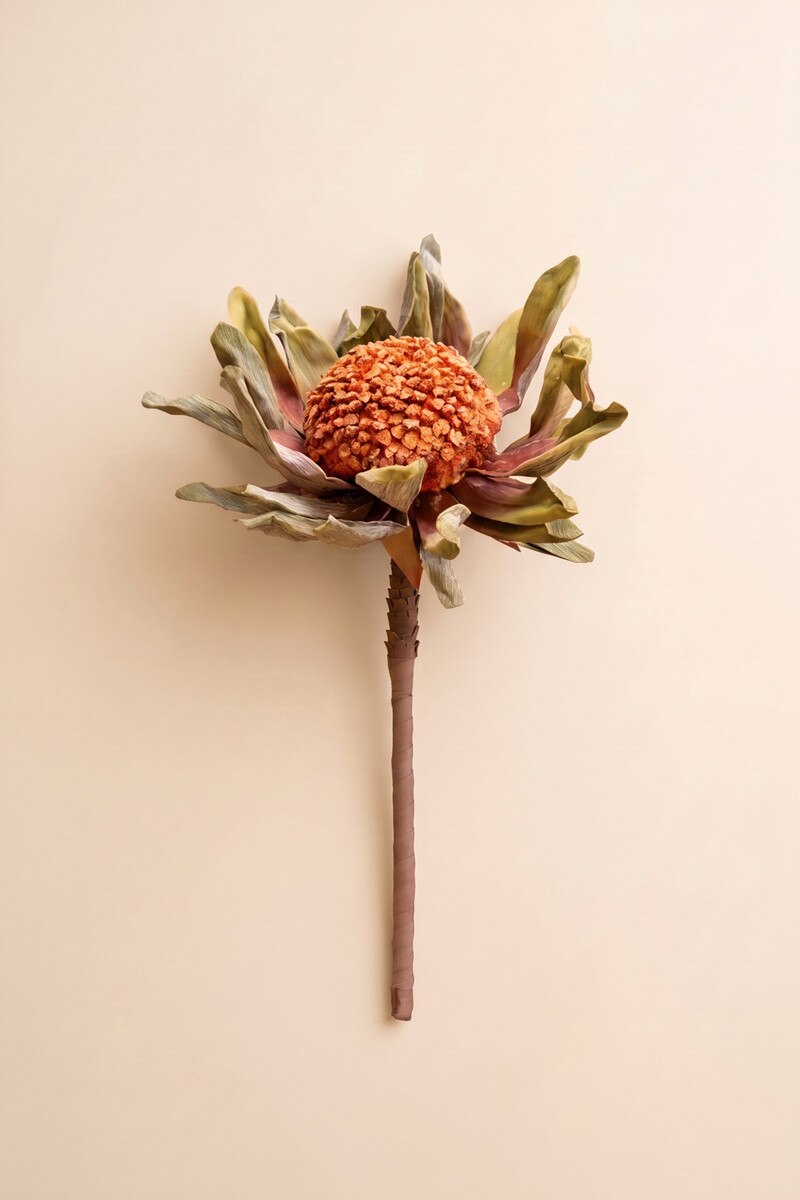 Botanical Autumn Sunflower Oversized