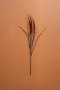 Reed Spray w/burgandy plumes