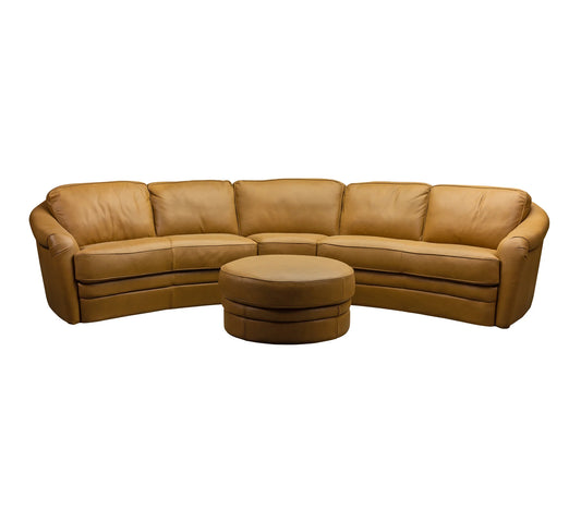 Taylor Sectional