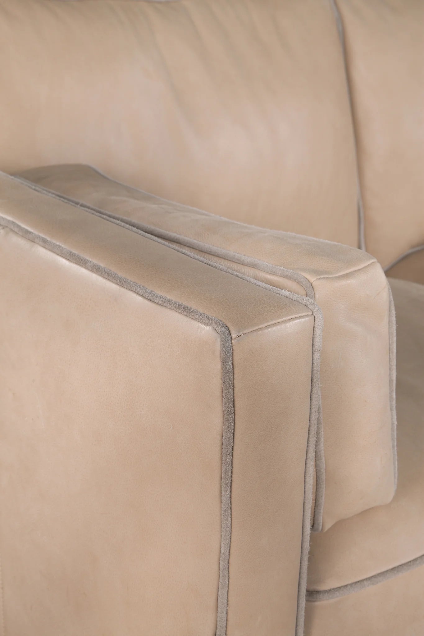 Raleigh Sofa in Selena Champis